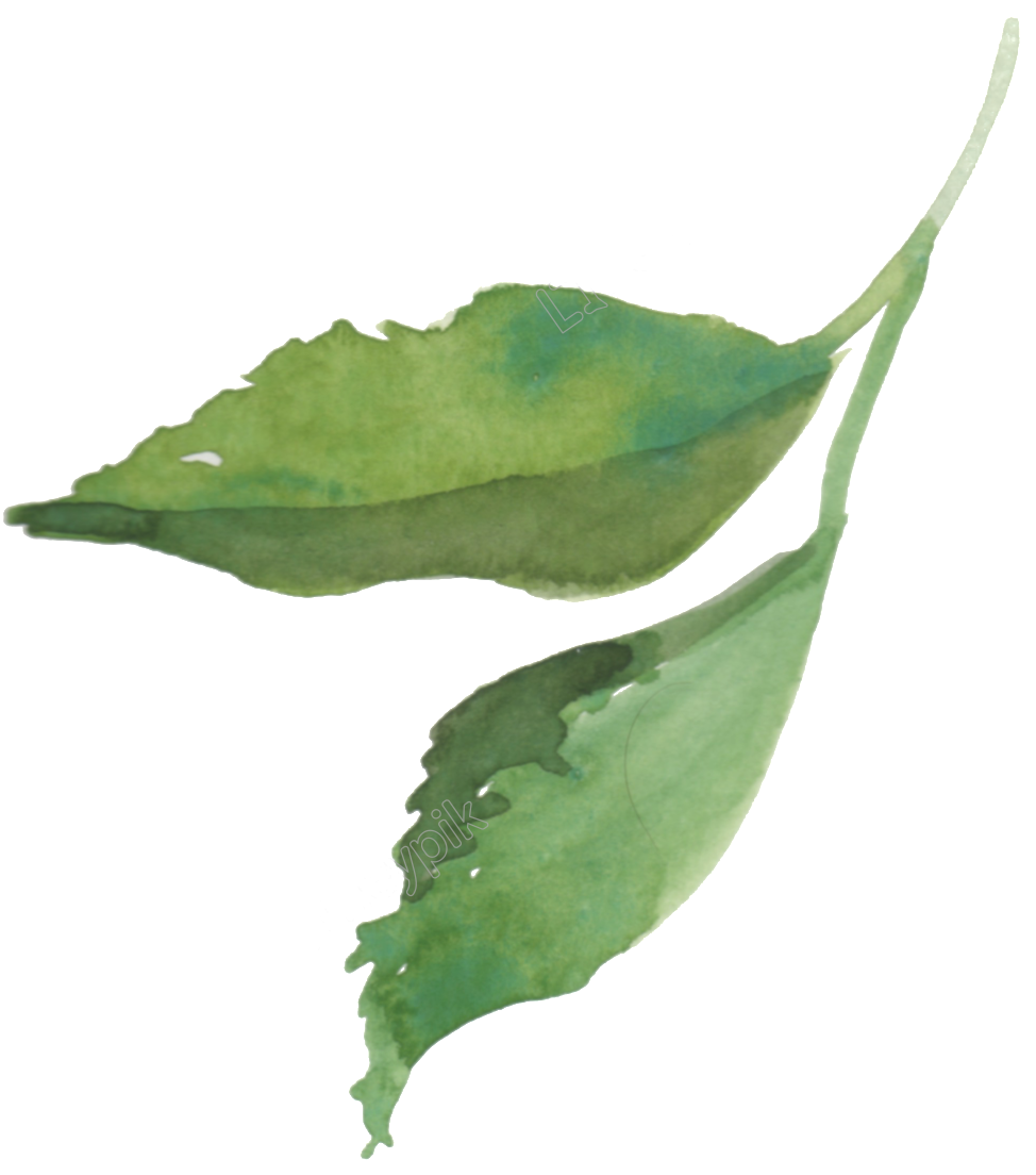 Vector Freeuse Transparent Painting Realistic - Jpeg (1024x1103), Png Download