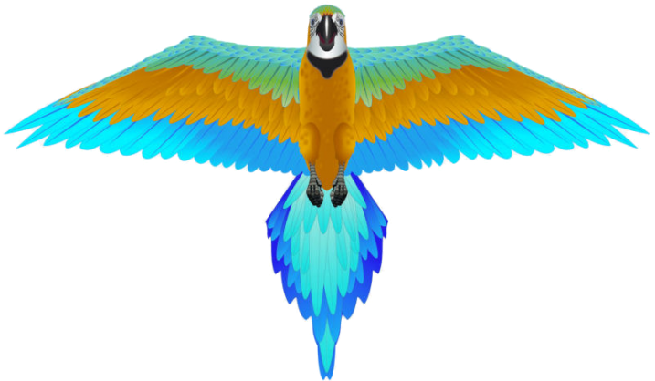 Rainforest Blue Macaw Kite By Brainstorm - Macaw Kite (727x443), Png Download