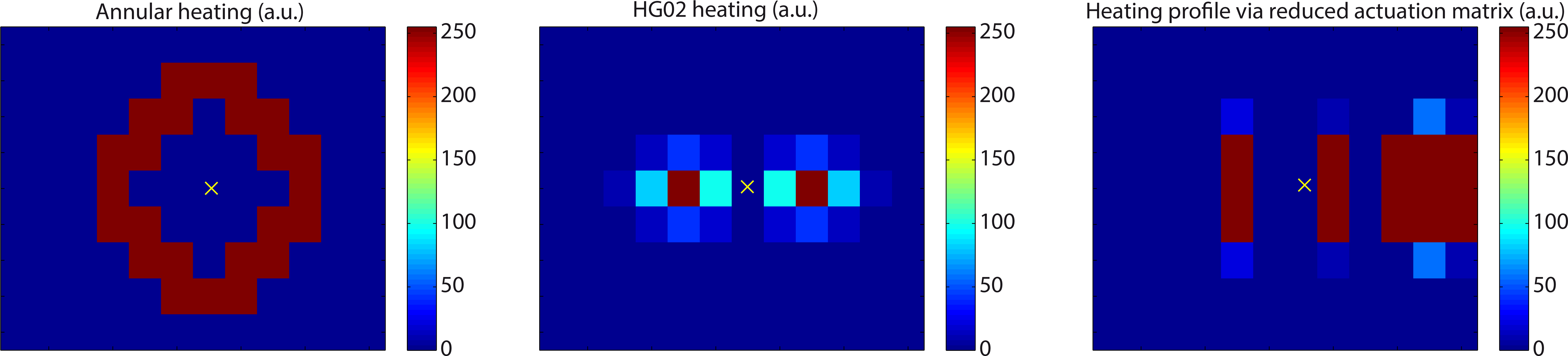 The Heating Patterns Used In This Work - Common Fig (6739x1565), Png Download