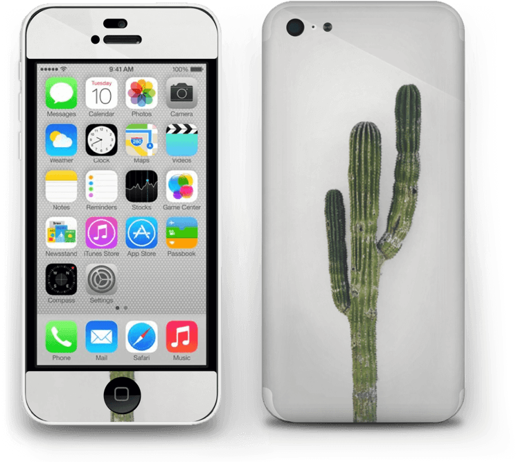 Mexican Cactus Skin Iphone 5c - Iphone 5c 16 Gb (800x729), Png Download