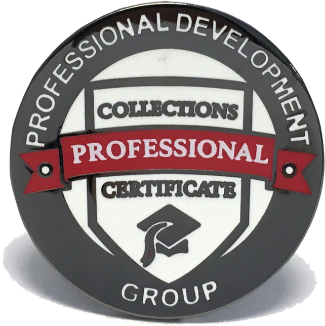 Collections Certificate Lapel Pin - Lapel Pin (1000x1001), Png Download