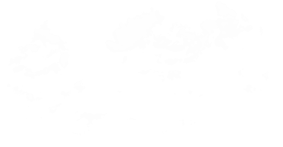 Because Of The Great Humidity, This Forest Is Home - Clouds (1002x538), Png Download