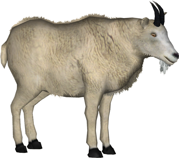 Mountain Goat 2 - Mountain Goat Png (584x584), Png Download