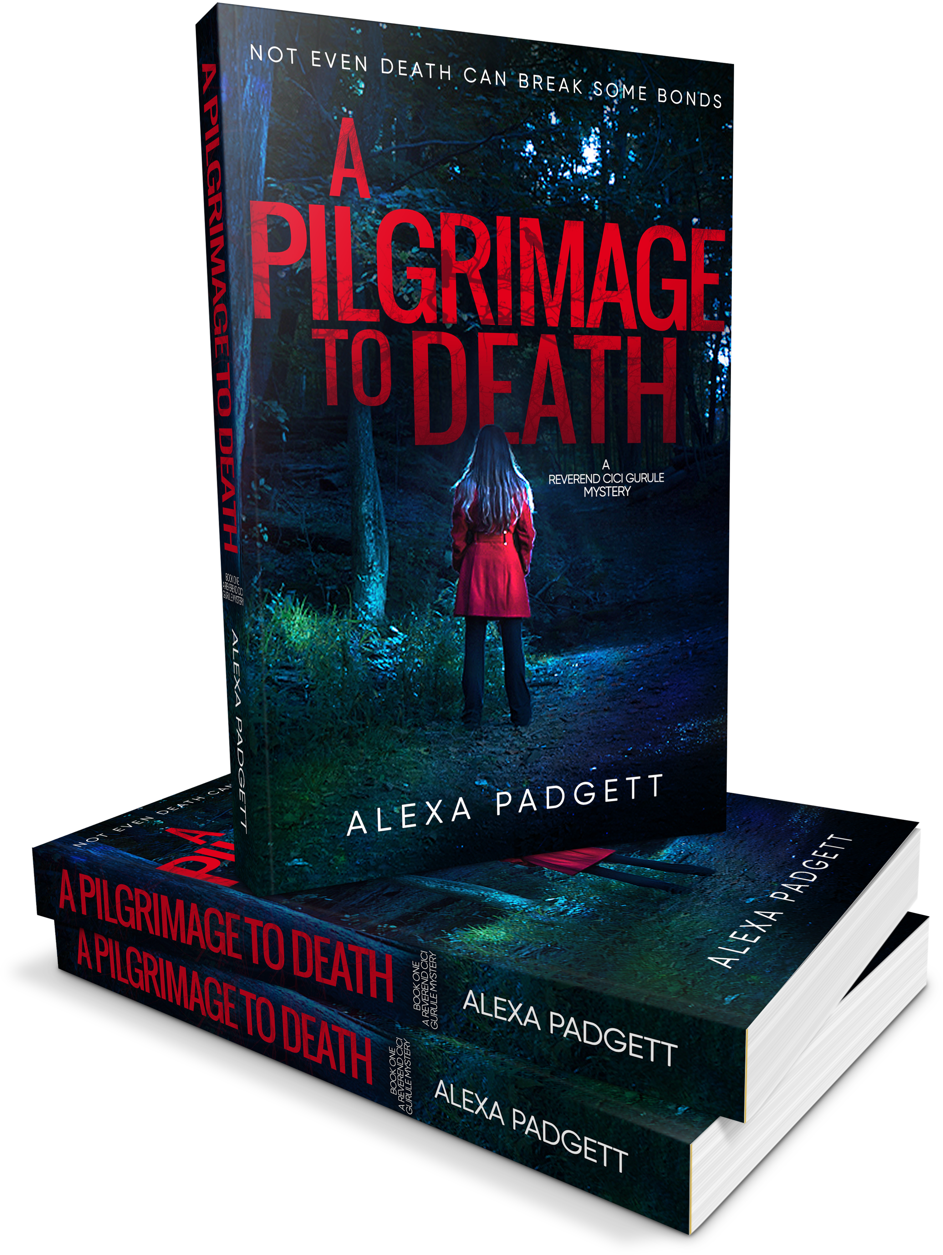 “the Person Came To My Home - Archive (3445x4359), Png Download