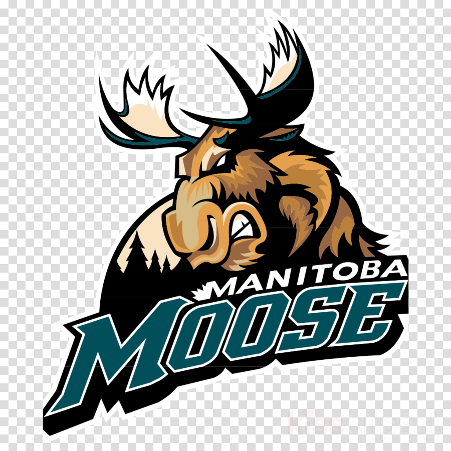 Manitoba Moose Logo Clipart Manitoba Moose American - Manitoba Moose Logo (900x900), Png Download