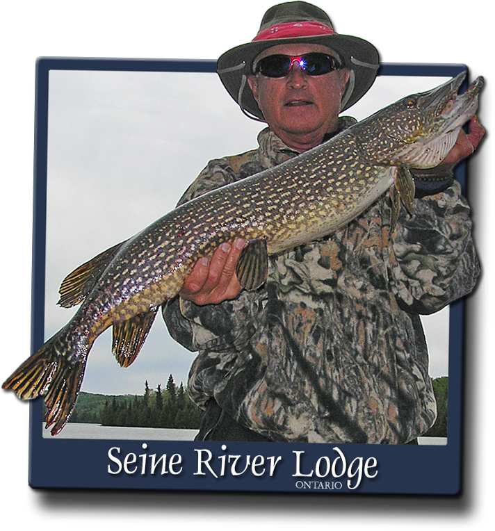 Summer Fishing In July & August - Ontario (712x764), Png Download