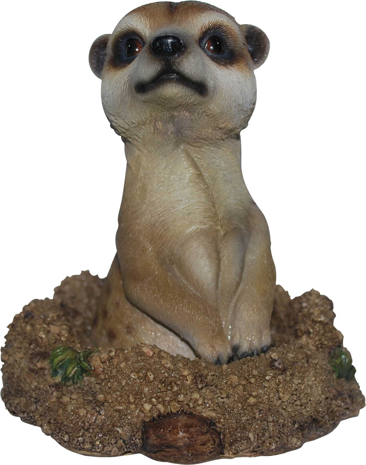 Groundhog Meerkat F - Meerkat (2460x2592), Png Download