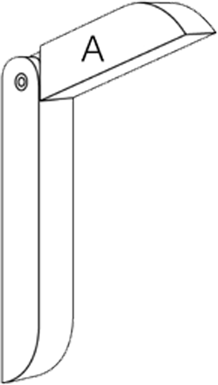 Toucan (544x786), Png Download