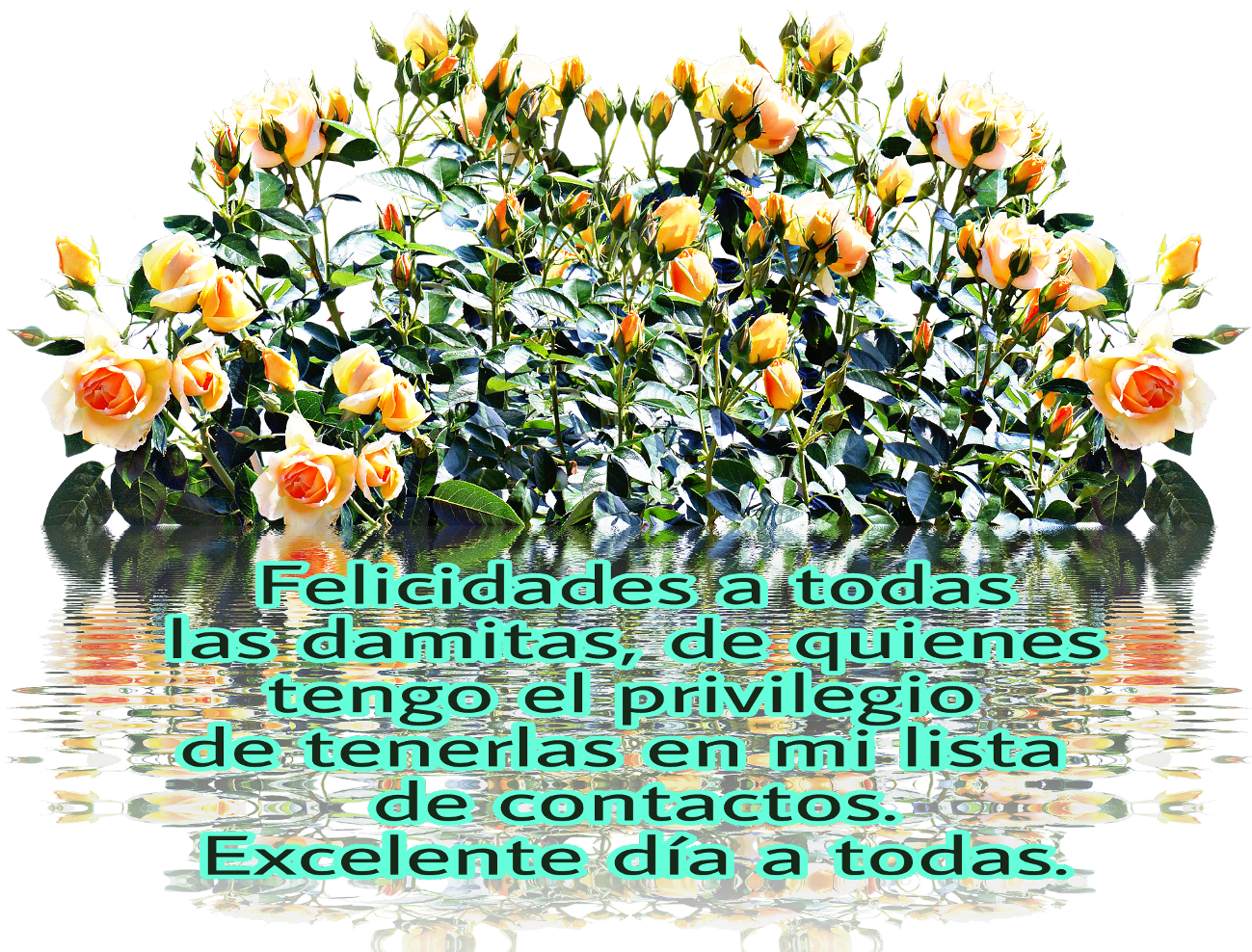Felicidades Sticker - Chrysanths (1310x1024), Png Download