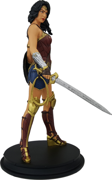 Wonder Woman (439x700), Png Download