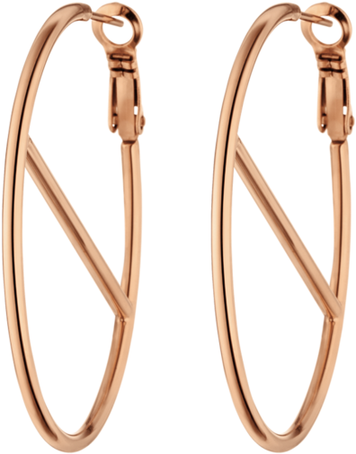 Earrings (683x1024), Png Download