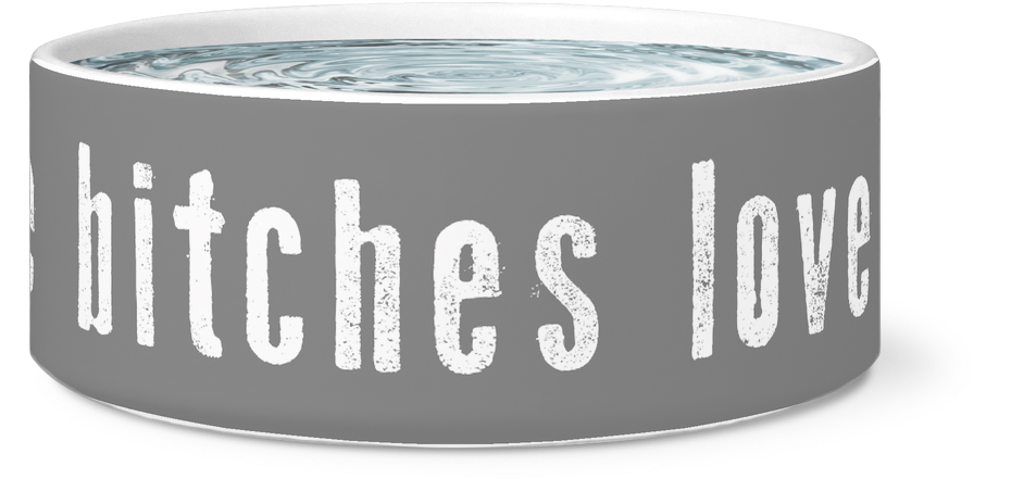 All The Bitches Love Me Dog Bowl - They've Taken Lewis (humphreys Norah) (1024x1024), Png Download