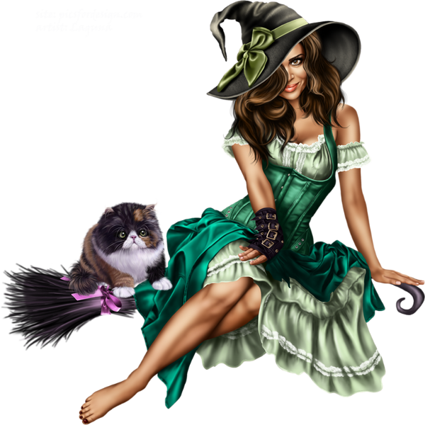 Czarownica I Kot Na Miotle - Beautiful Witch On Broom Png (600x600), Png Download