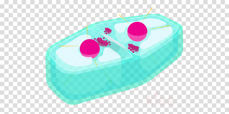 Plant Cell Clipart Cytokinesis Plant Cell - Tennis Ball Cartoon Transparent (900x450), Png Download
