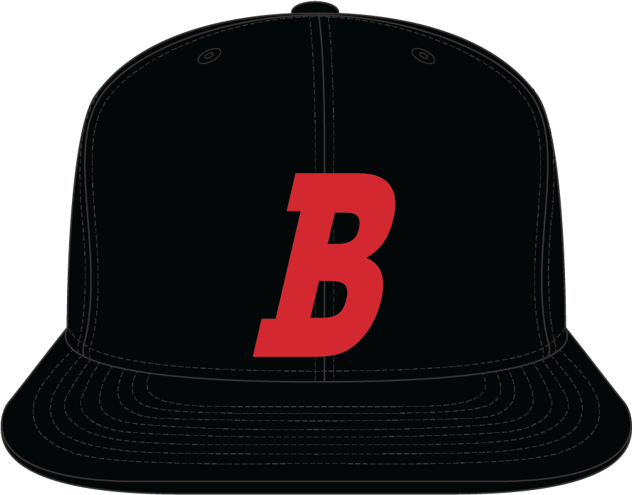 348 False False True False True True False Auto False - Baseball Cap (1250x1250), Png Download