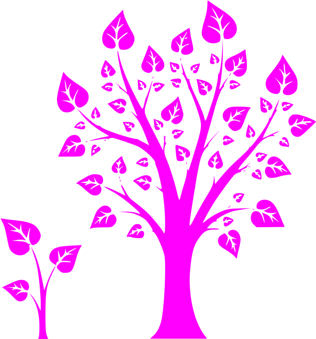 Mentorships - Tree Growth Diagram (660x684), Png Download