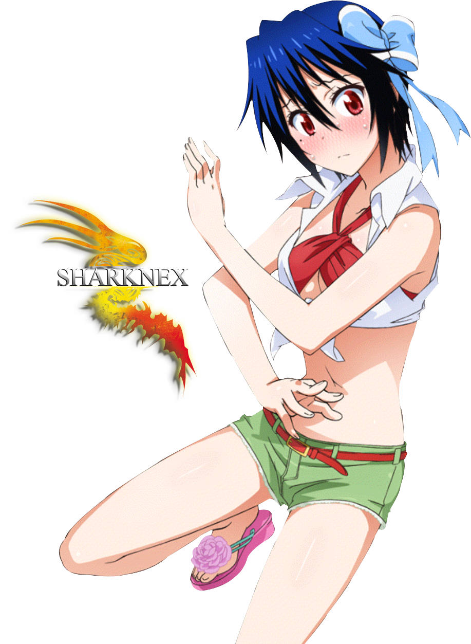 How To Get Thick, Nisekoi, Animation, Art, Art Background, - Tsugumi Seishirou Render (917x1253), Png Download