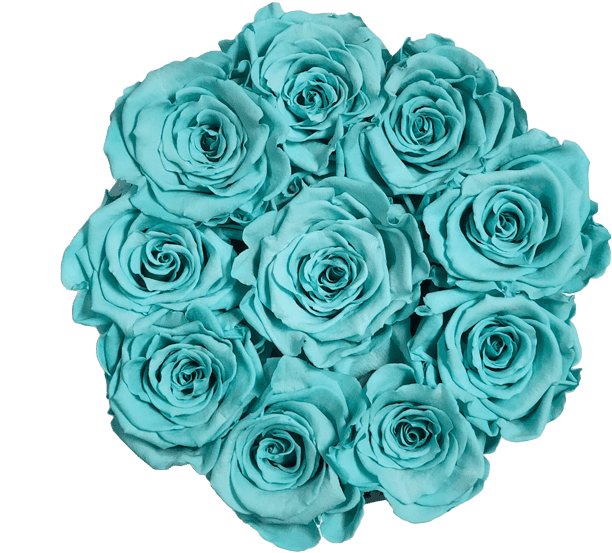 Prev - New York City (700x679), Png Download