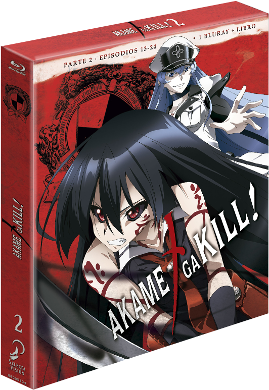 Review De "akame Ga Kill " - Akame Ga Kill 4 Le Blu-ray (616x848), Png Download