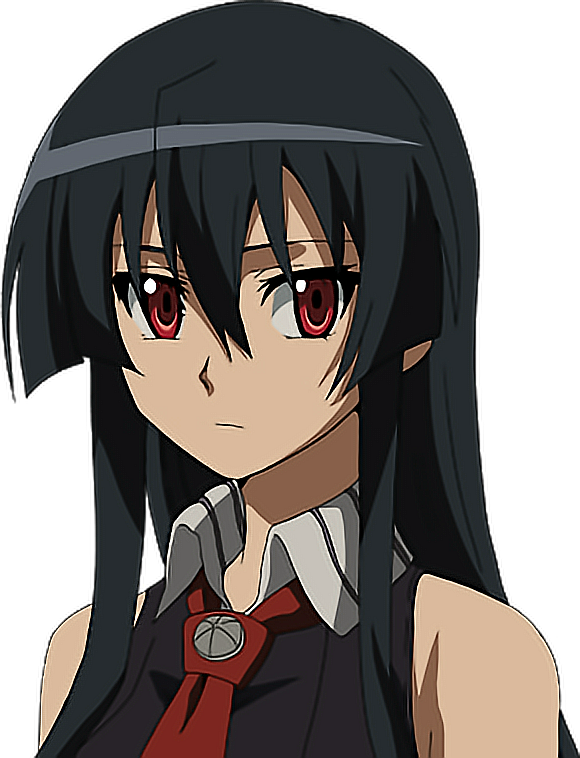 Report Abuse - Akame Ga Kill Akame Face (580x758), Png Download