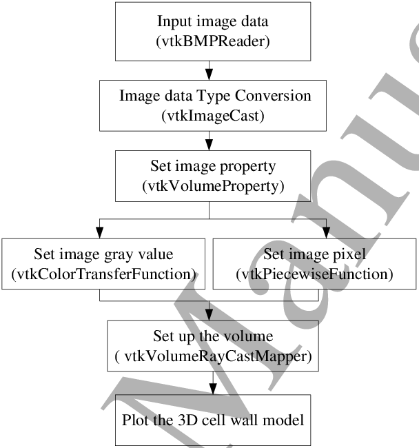 The Flow Chart Of The Cell Wall Model Developing Algorithm - Cell Wall (608x650), Png Download