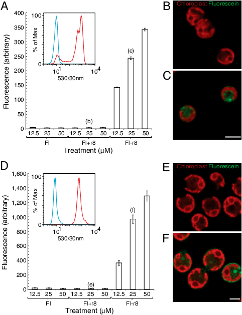 Flow Cytometry And Fluorescence Microscopy Of Cell - Flow Cytometry (489x632), Png Download