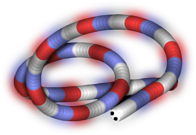 For Psd All Skins And How To Use - Sonoran Coral Snake (800x800), Png Download