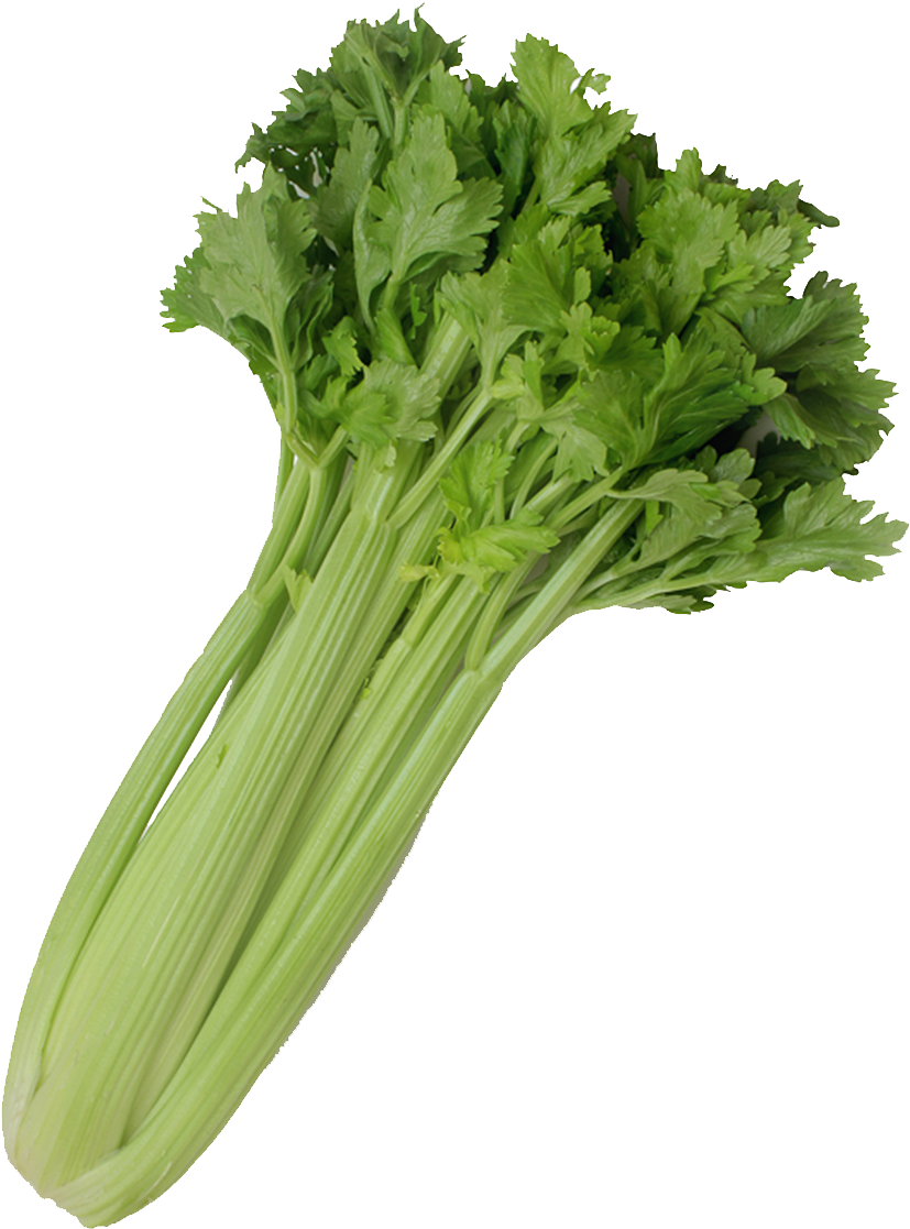 49652 Large - Celery (1131x1130), Png Download