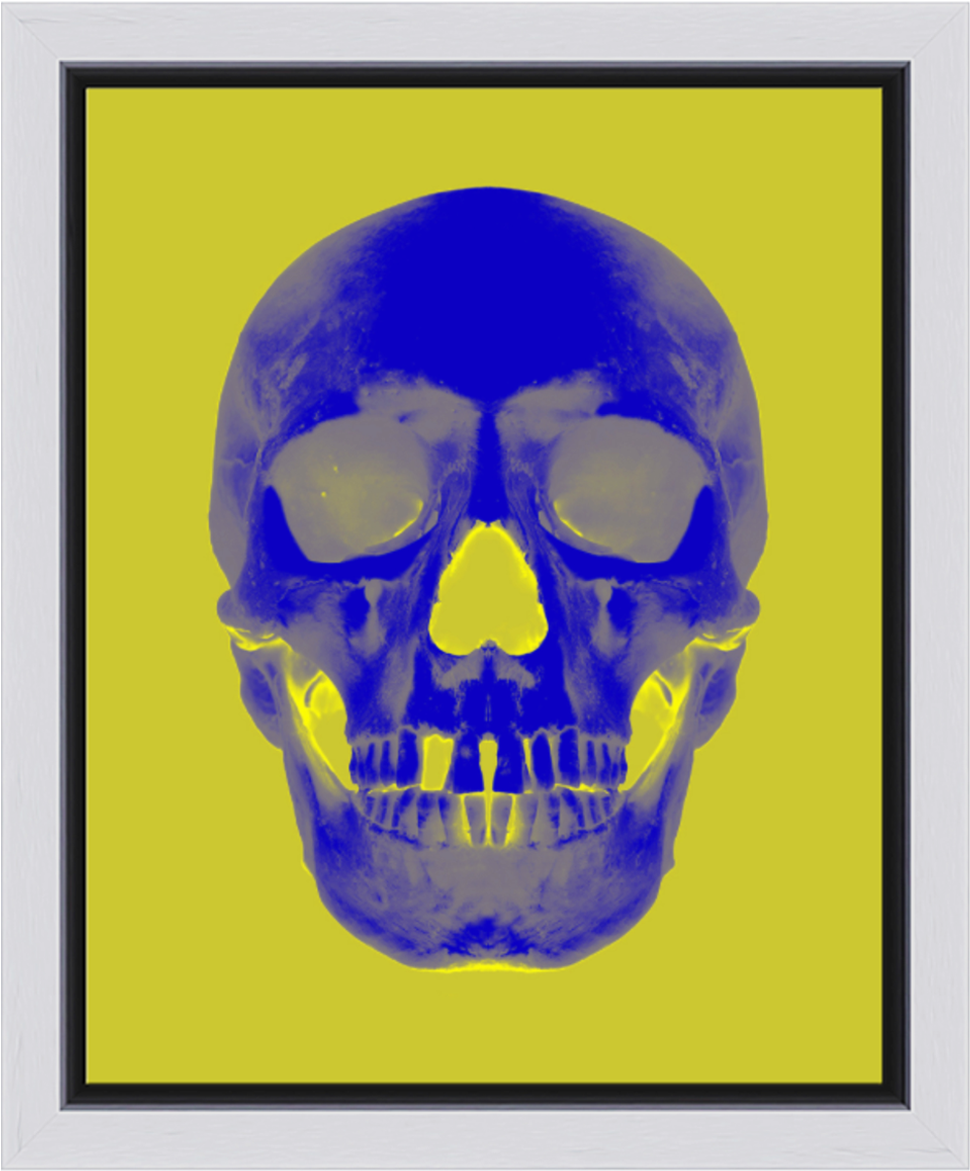 Blue Skull - Skull (1200x1200), Png Download
