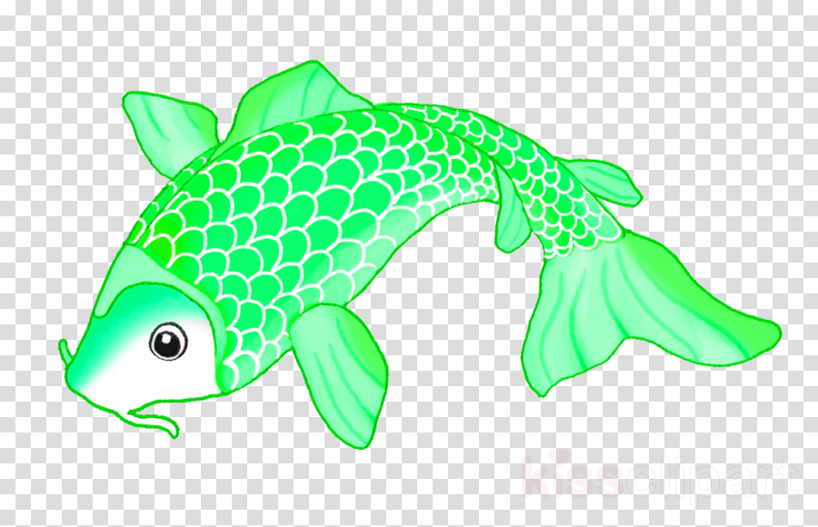 Koi Fish Drawing Clipart Koi Siamese Fighting Fish - Koi Fish Drawing (900x580), Png Download
