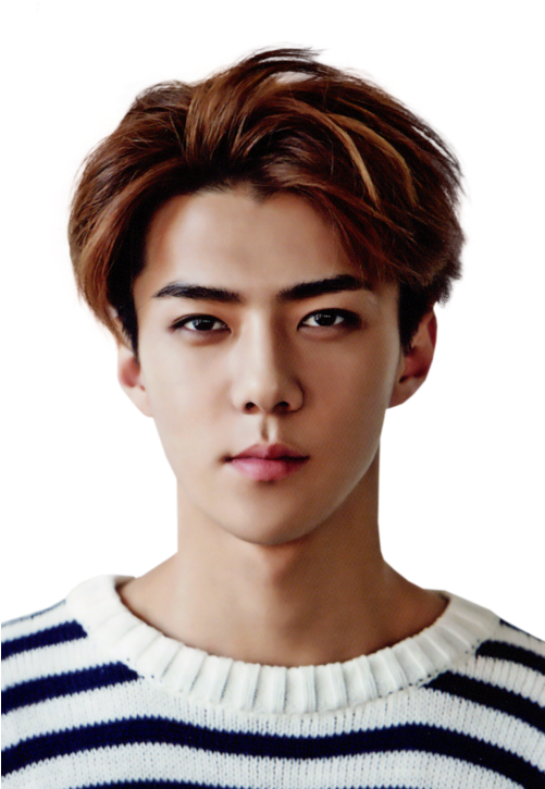 Exo, Sehun, And Kpop Image - Sehun With Brown Hair (500x757), Png Download