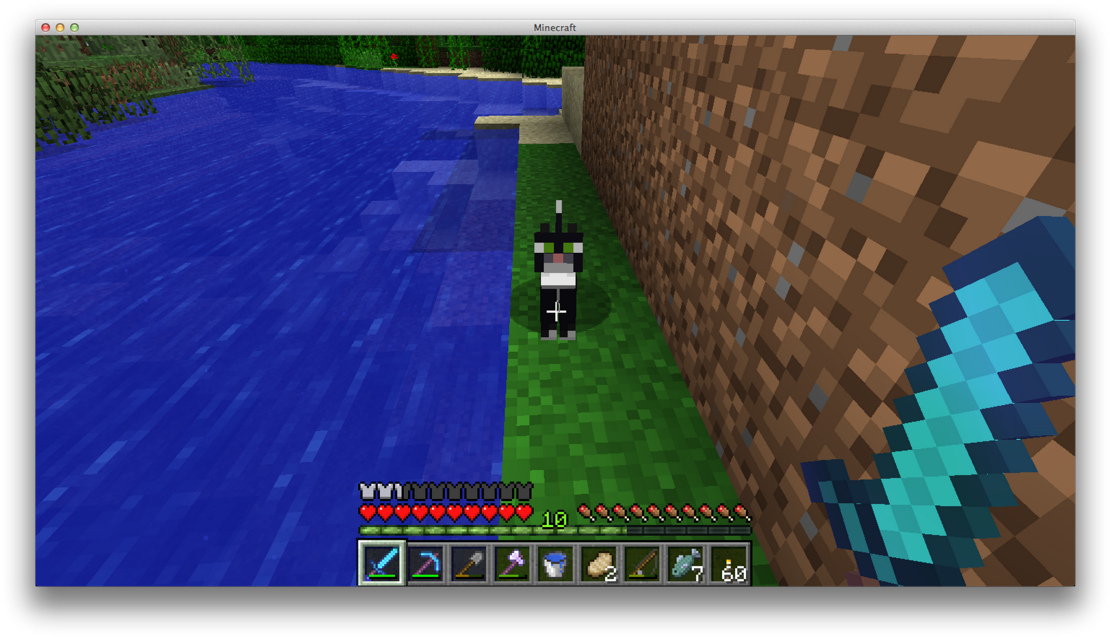 When I Had Gathered Ten Fish I Went There In Search - Minecraft (1600x926), Png Download