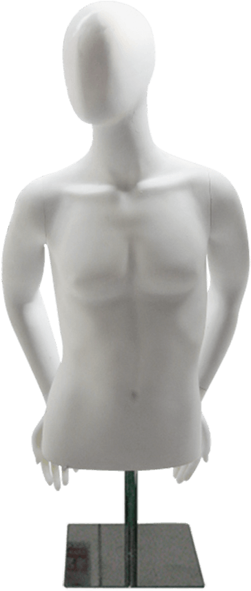 Md-m1026 Male Measurements - Half Mannequin Male Png (650x900), Png Download