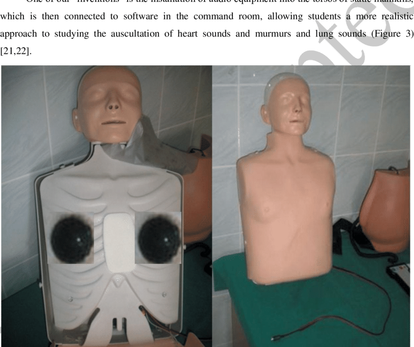 Speakers Installed In Manikin's Torso Connected To - Computer (850x713), Png Download