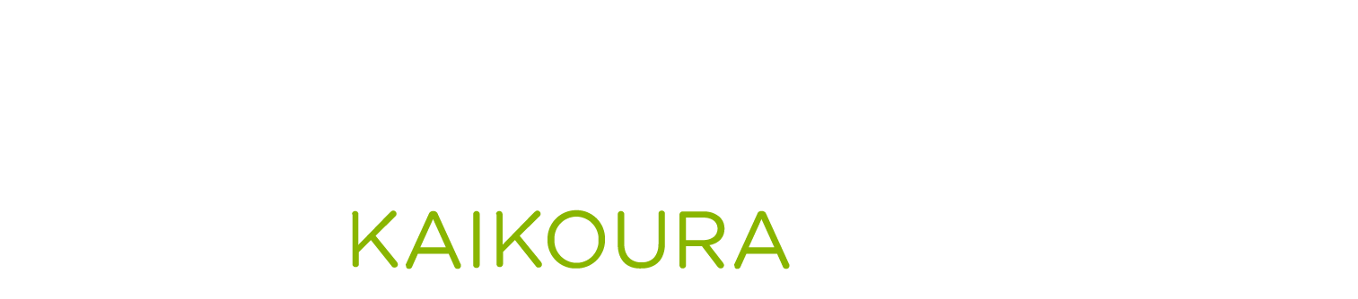 Society Of Divine Word Svd (1600x350), Png Download