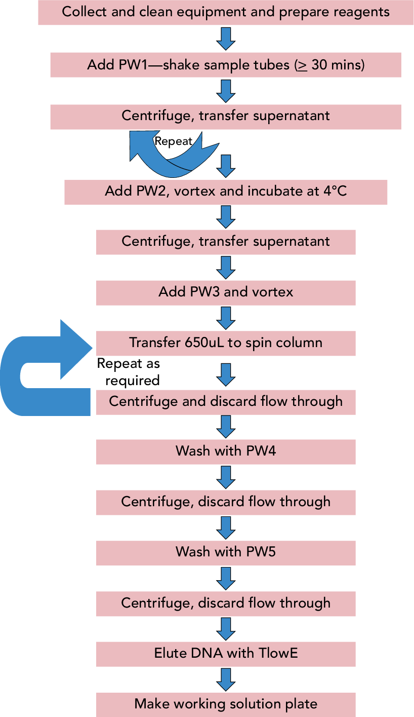 Workflow Of Dna Extraction From Edna Samples - Dna Extraction (818x1415), Png Download