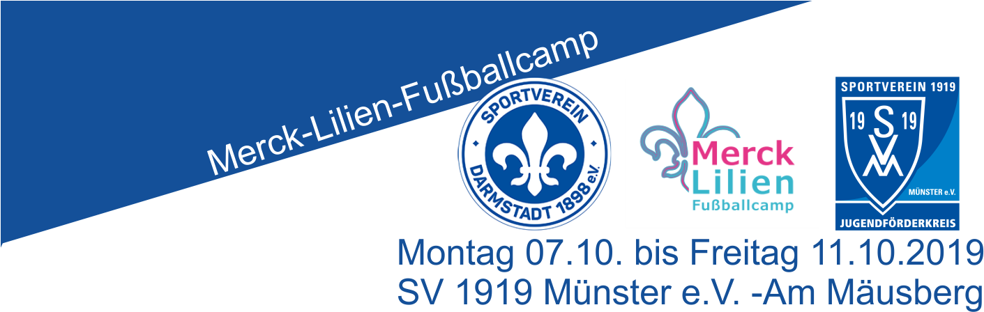 Sv 1919 Münster E - Sv Darmstadt 98 (2000x500), Png Download