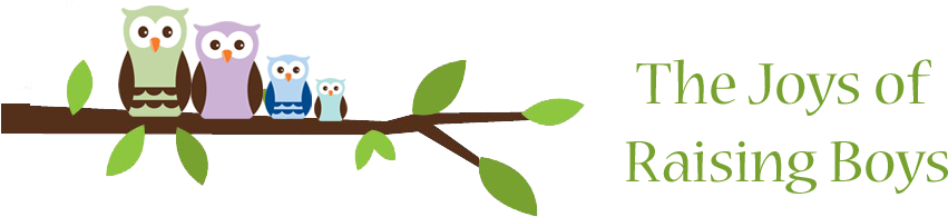 The Joys Of Raising Boys - Boy (900x200), Png Download