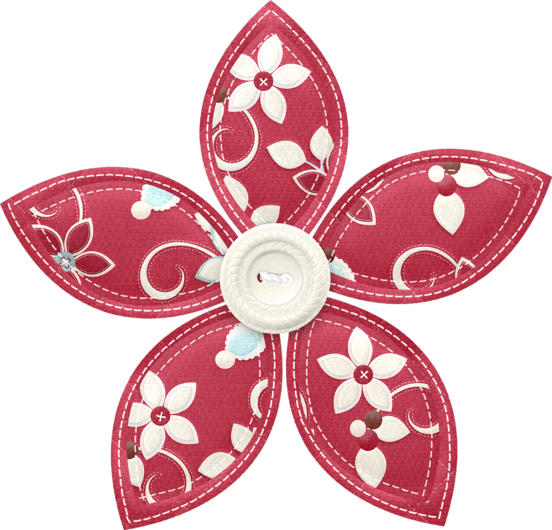 Poinsettia 3 - Christmas Day (800x768), Png Download