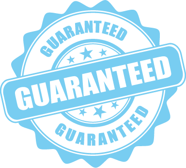 Next-day Guarantee - Accidentally Changed To Fb Timeline (384x346), Png Download