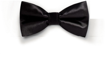 Essential Black Essential Black - Papillon Nero Png (421x580), Png Download