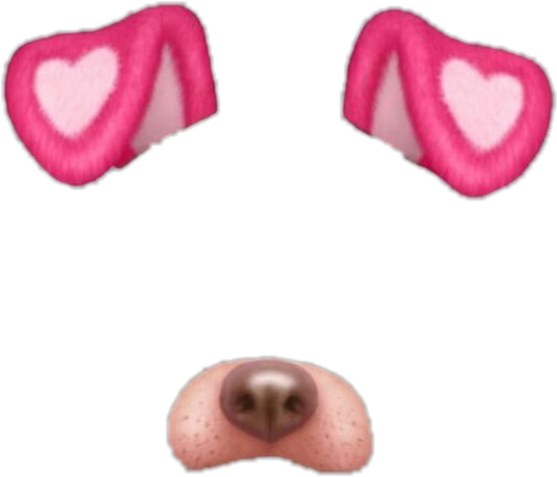 Snapchat Png Filters Dog Full Size Png Download Seekpng