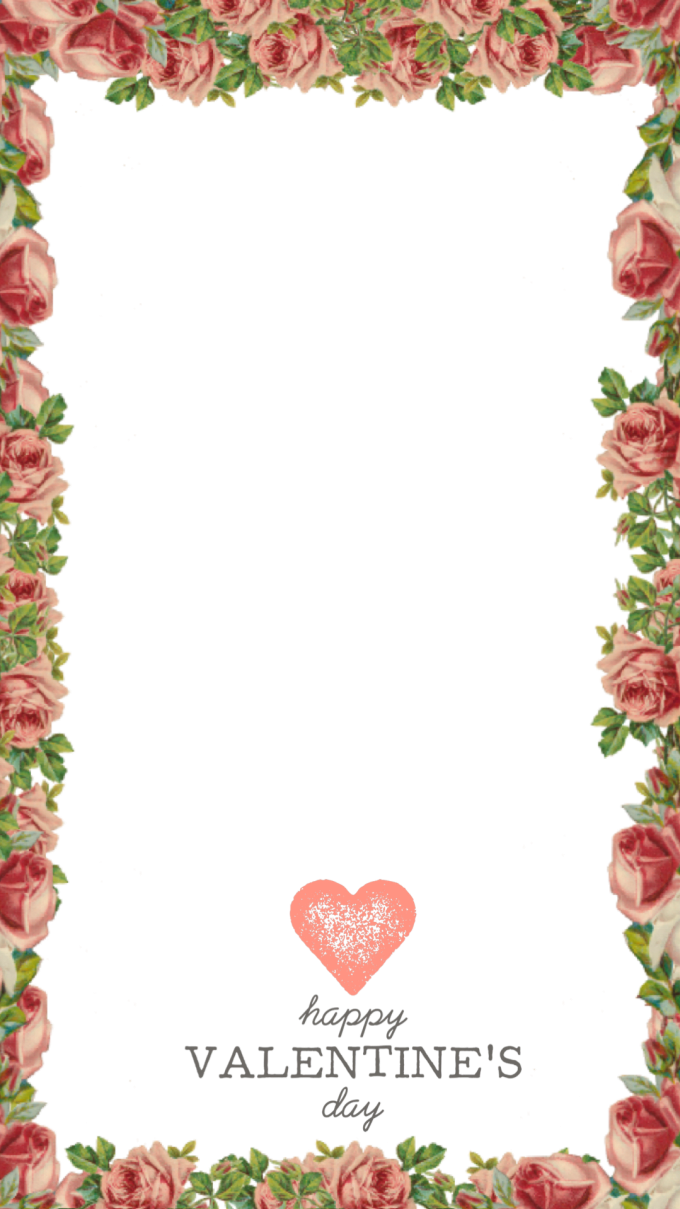 Garden Roses (680x1209), Png Download
