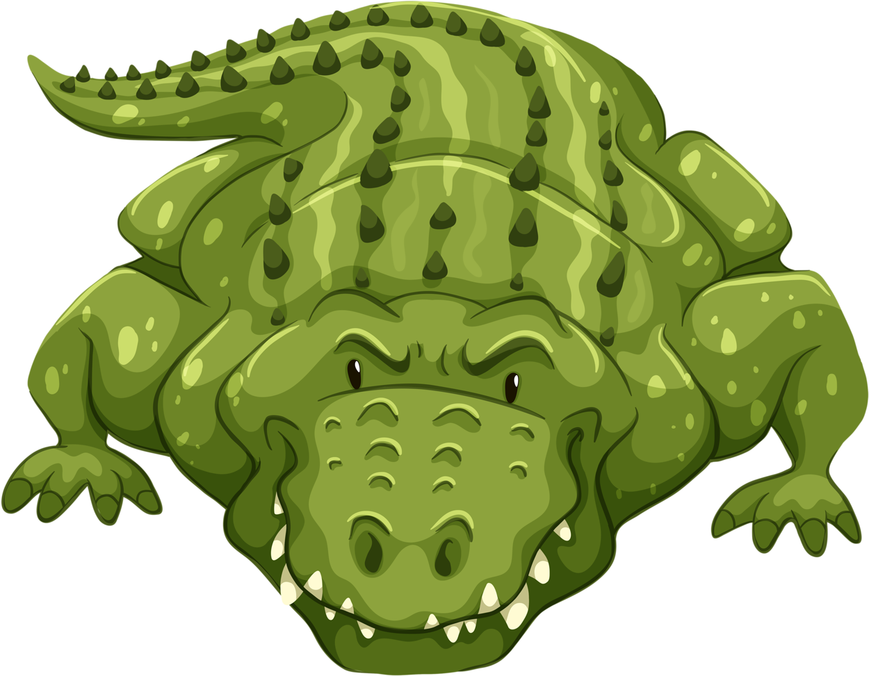 Crocodile Clipart Zoo Animal Cartoon Alligator Front View Full Size Png Download Seekpng