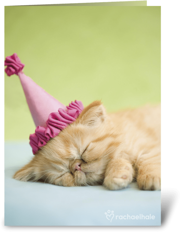 Happy Birthday Kitten In Party Hat Greeting Card - All Partied Out (700x792), Png Download