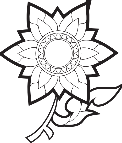 White Flower Clipart Decorative - Flower Drawings (510x597), Png Download