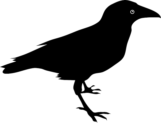 Clipart Bird Ravens - Raven Clipart (640x489), Png Download