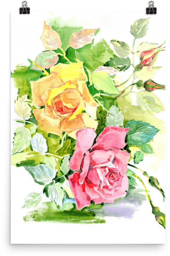 Bright And Floral Rose Watercolour Print Matte Poster - Watercolor Painting (1000x1000), Png Download