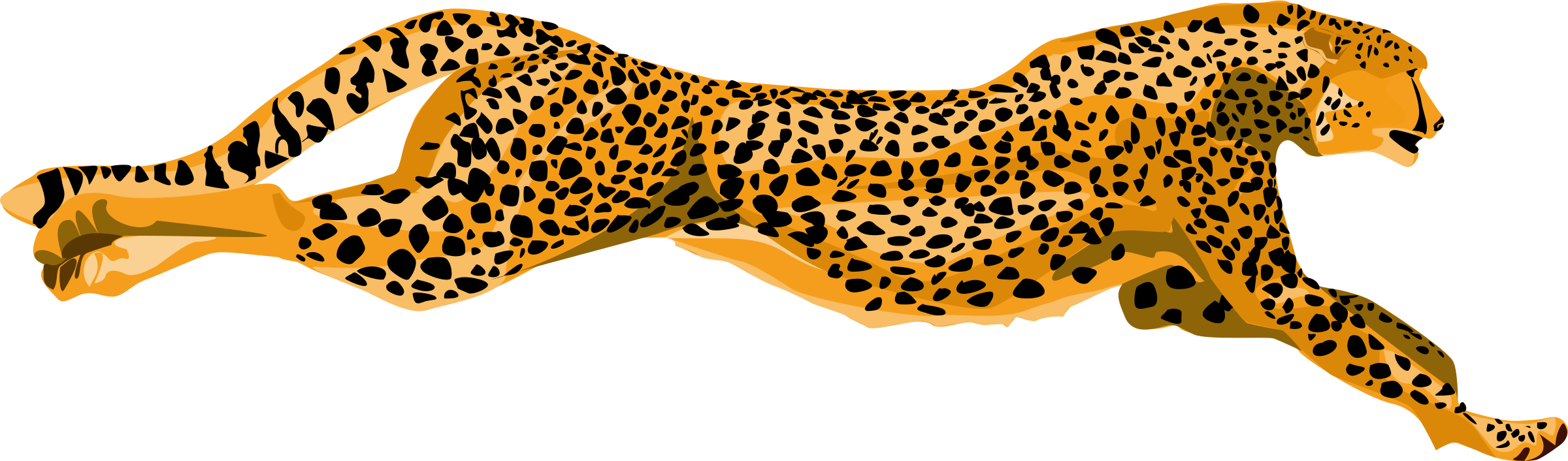 Cheetah Png - Cheetah Clipart Gif (2400x706), Png Download