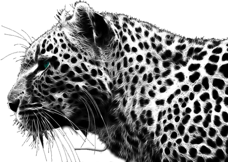 Cheetah Png (900x563), Png Download
